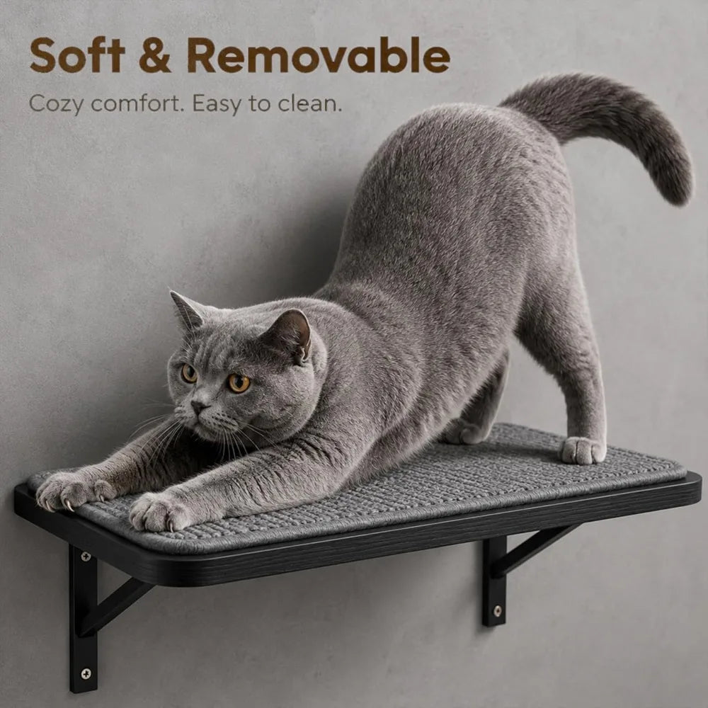 Cat Wall Shelves Set of 2, Solid Wood Window Perch with Grey Sisal Cushion, Wall-Mounted Space-Saving Climbing Bed for Kittens & Cats, Black