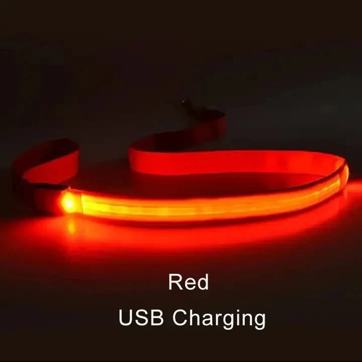 Led Pet Dog Leash Rope With Light Luminous Lead Leash USB Charging for Dog Safety Flashing Glowing Collar Harness Accessories