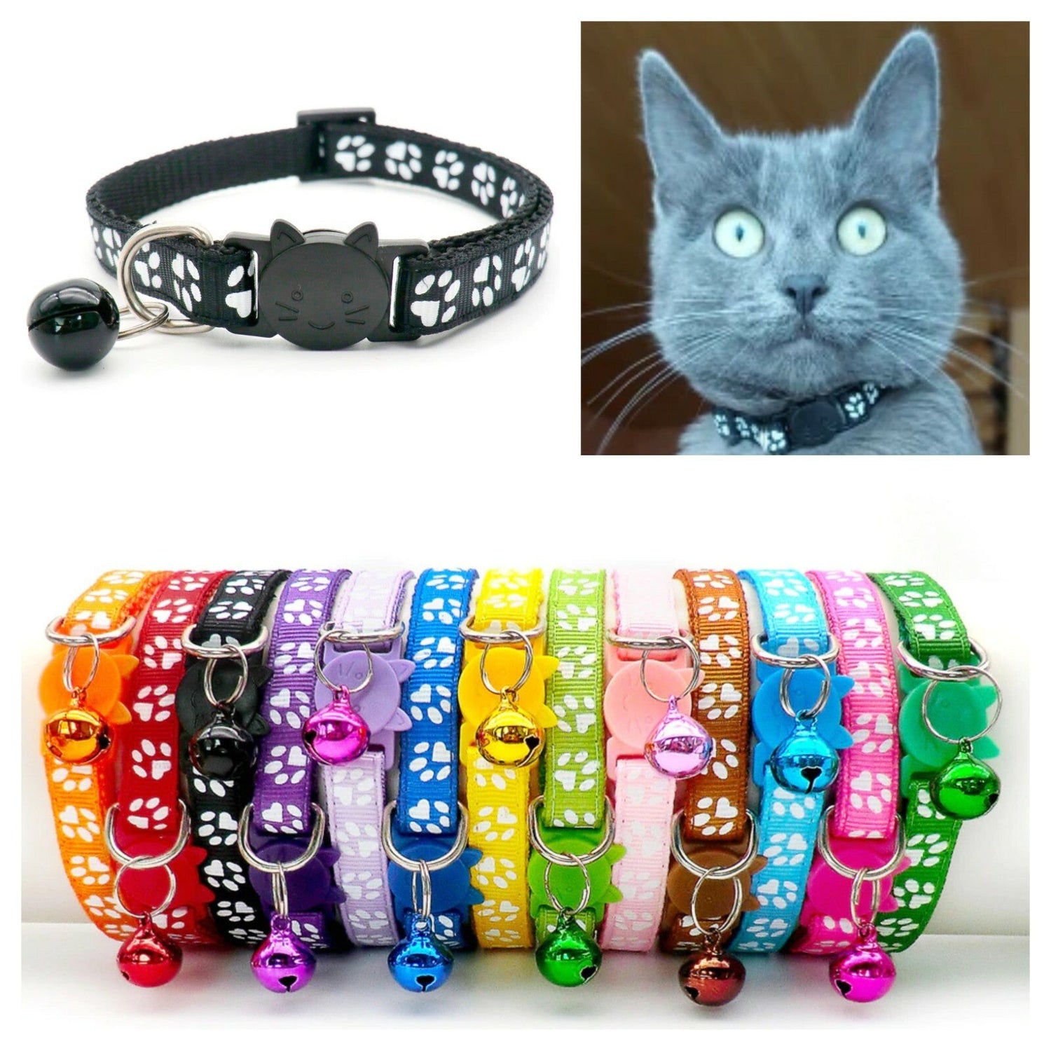 Cat Collars and Harnesses