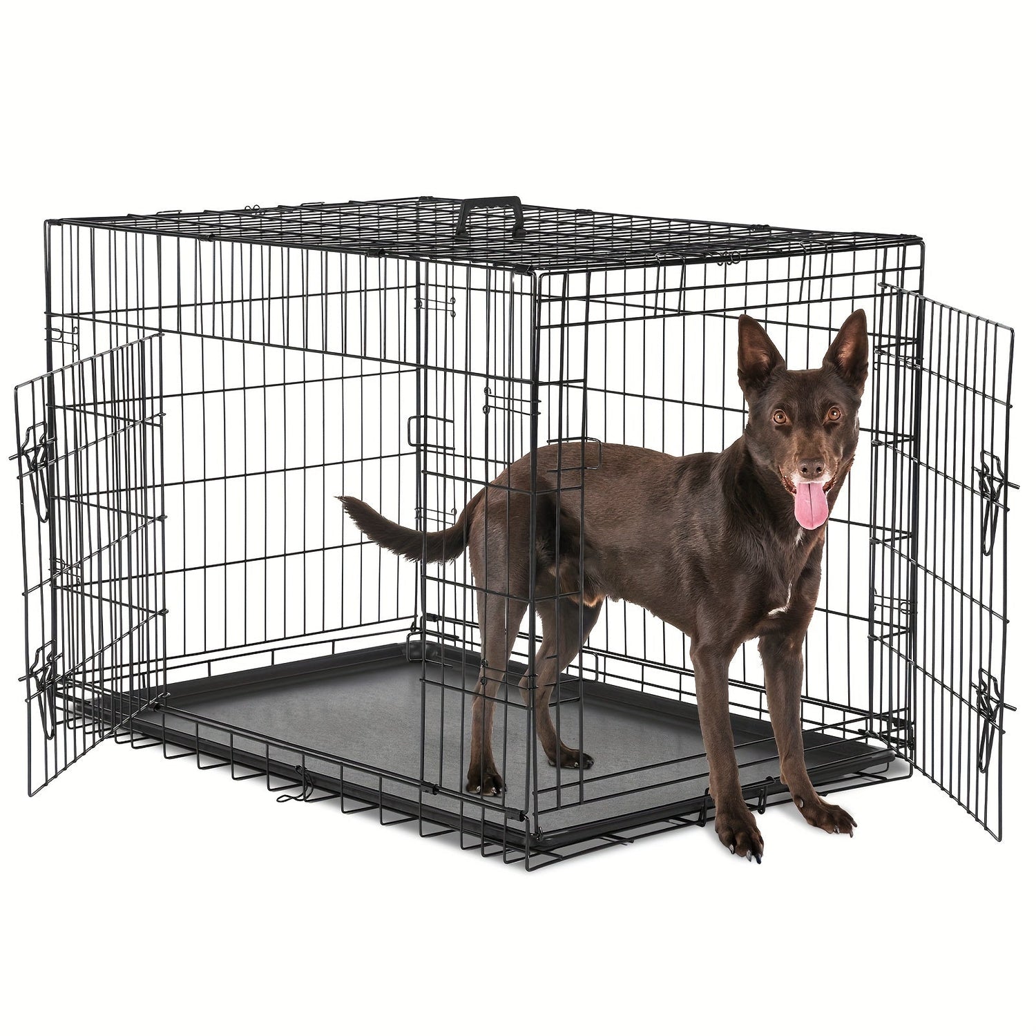 Dog Kennels and Crates
