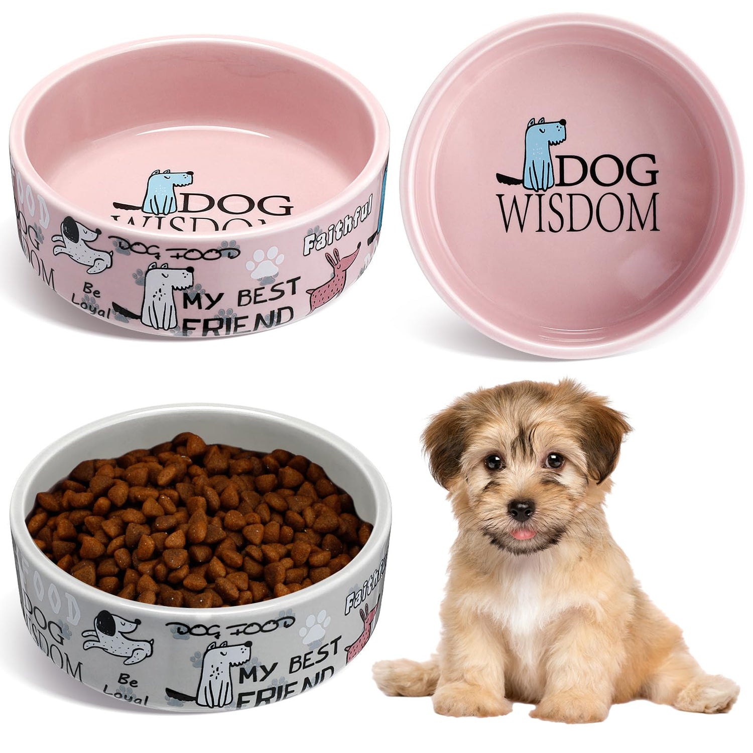 Dog Bowls