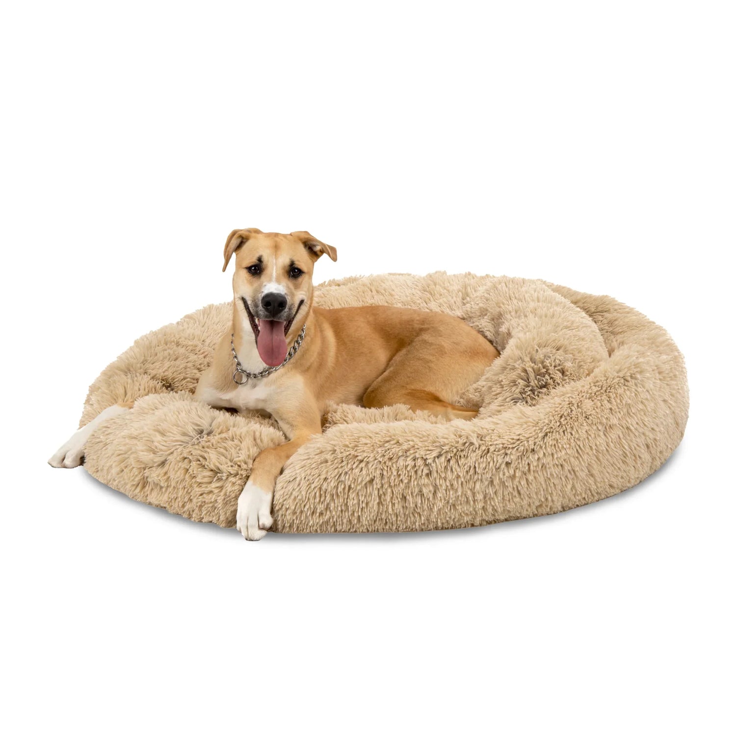Beds And Blankets