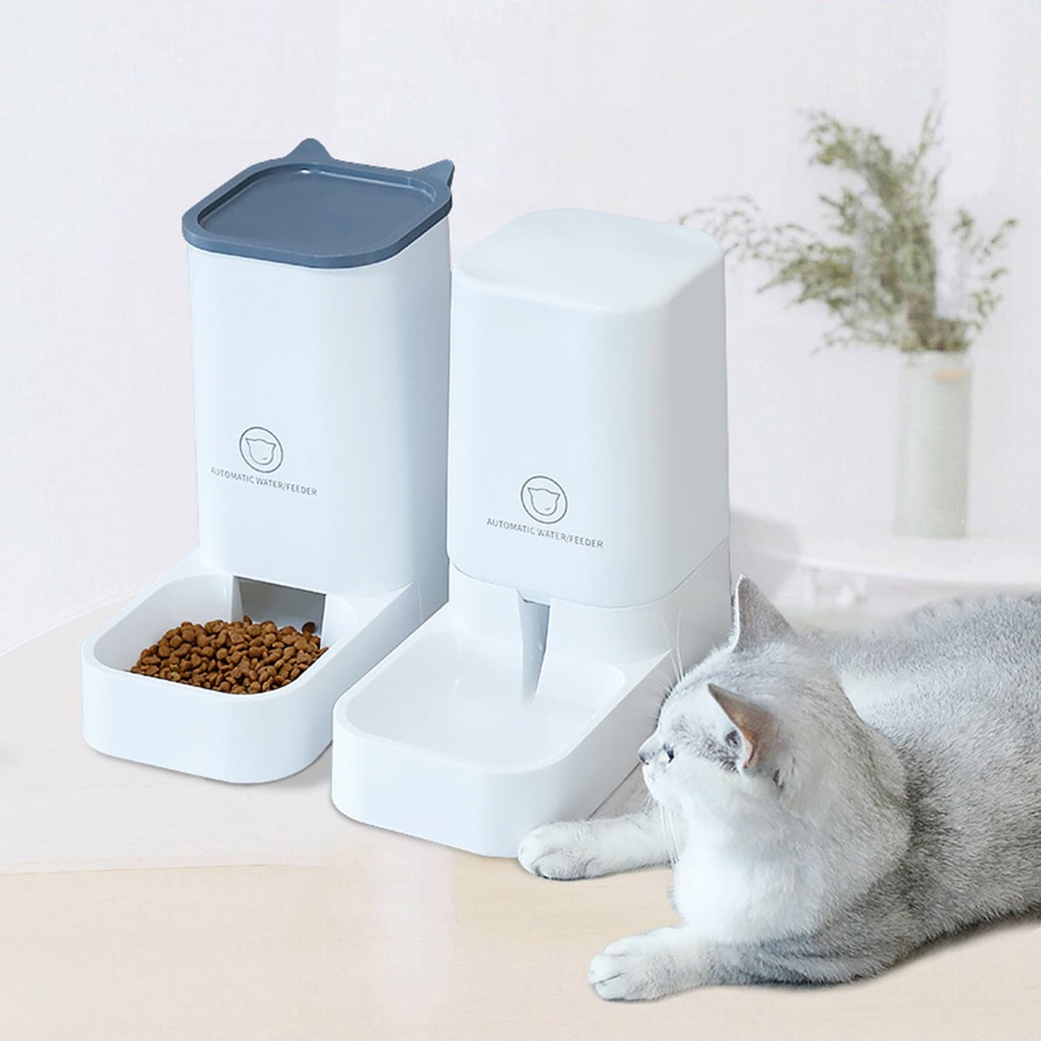 Cat Feeders