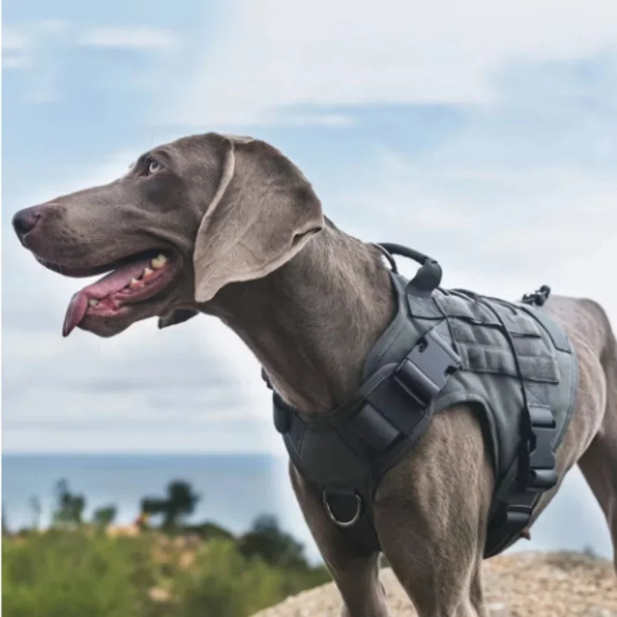 Tactical Dog Harness Leash Collar for Medium Large Dogs Military Pet Vest Adjustable Service Dog Harnesses For Training Walking