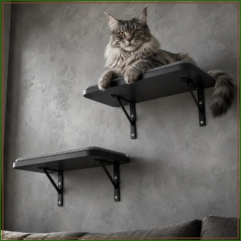 Cat Wall Shelves Set of 2, Solid Wood Window Perch with Grey Sisal Cushion, Wall-Mounted Space-Saving Climbing Bed for Kittens & Cats, Black