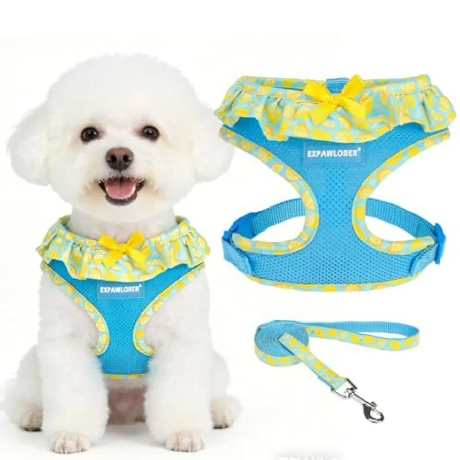 Cute Dog Harness Collar Leash Set - Girl Dog Harness Checke Step-in Design, Adjustable No-Choke Lightweight Mesh Vest for Cats