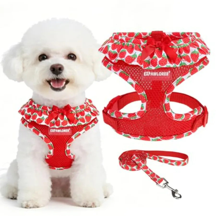 Cute Dog Harness Collar Leash Set - Girl Dog Harness Checke Step-in Design, Adjustable No-Choke Lightweight Mesh Vest for Cats