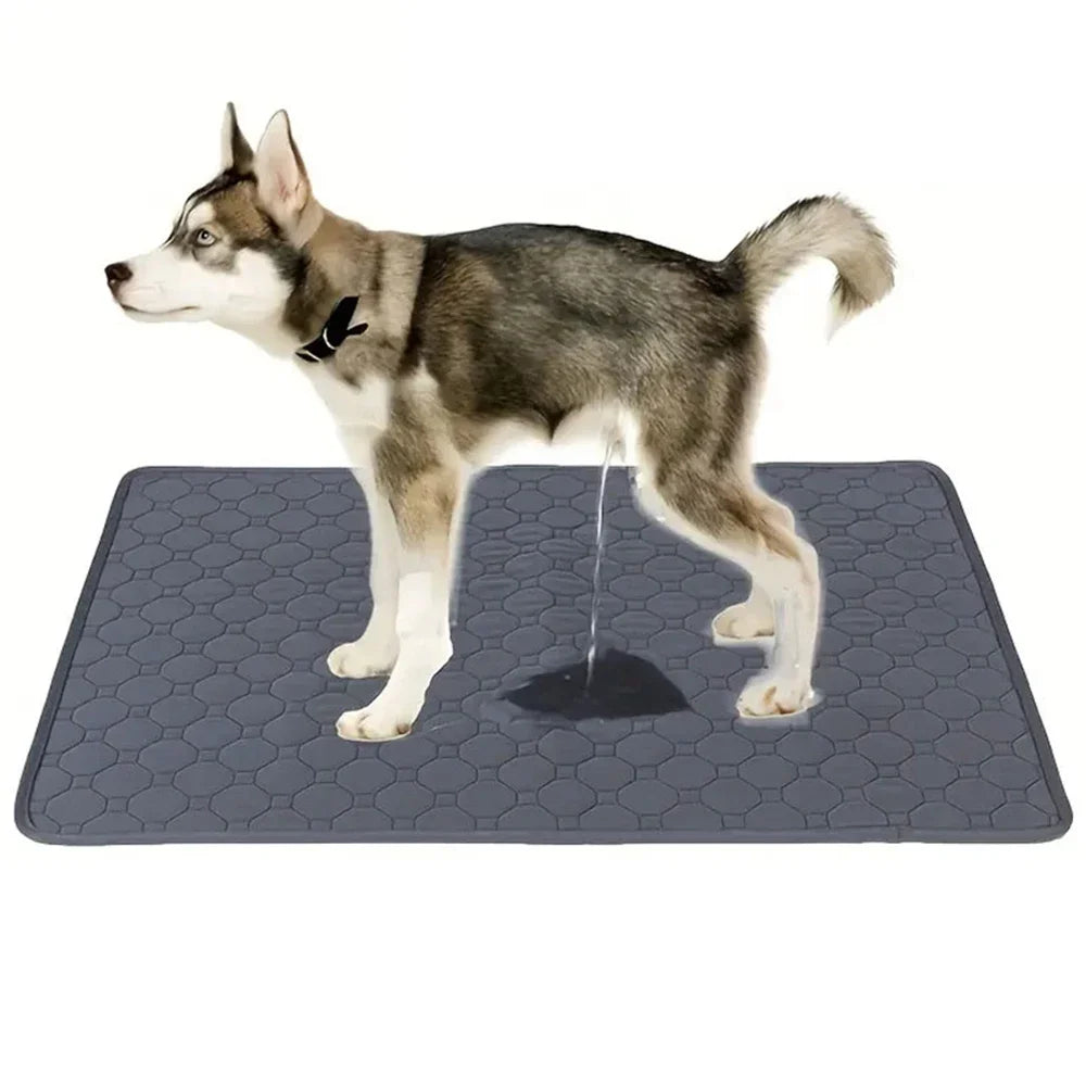 Dog Pee Reusable Pad Blanket Absorbent Diaper Washable Puppy Training Pad Pet Bed Urine Mat for Pet Car Seat Cover Pet Supplies