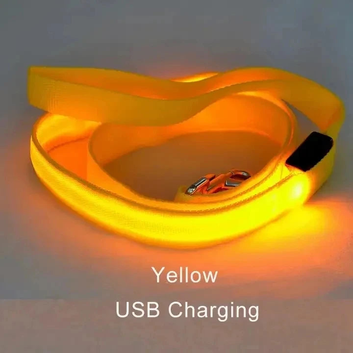 Led Pet Dog Leash Rope With Light Luminous  Lead Leash USB Charging for Dog Safety Flashing Glowing Collar Harness Accessories