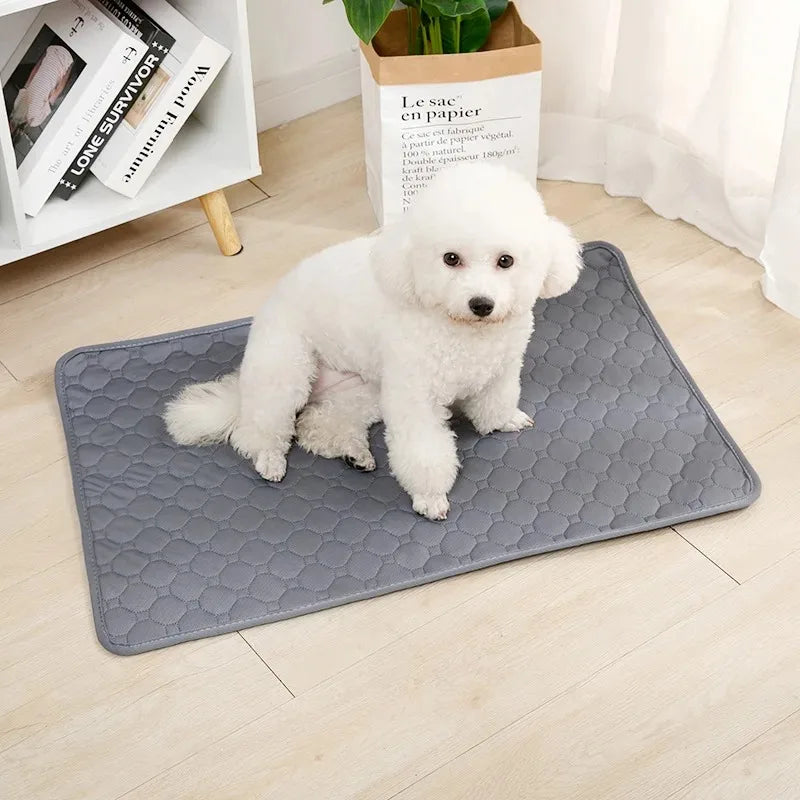 Dog Pee Reusable Pad Blanket Absorbent Diaper Washable Puppy Training Pad Pet Bed Urine Mat for Pet Car Seat Cover Pet Supplies