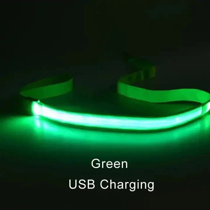 Led Pet Dog Leash Rope With Light Luminous  Lead Leash USB Charging for Dog Safety Flashing Glowing Collar Harness Accessories