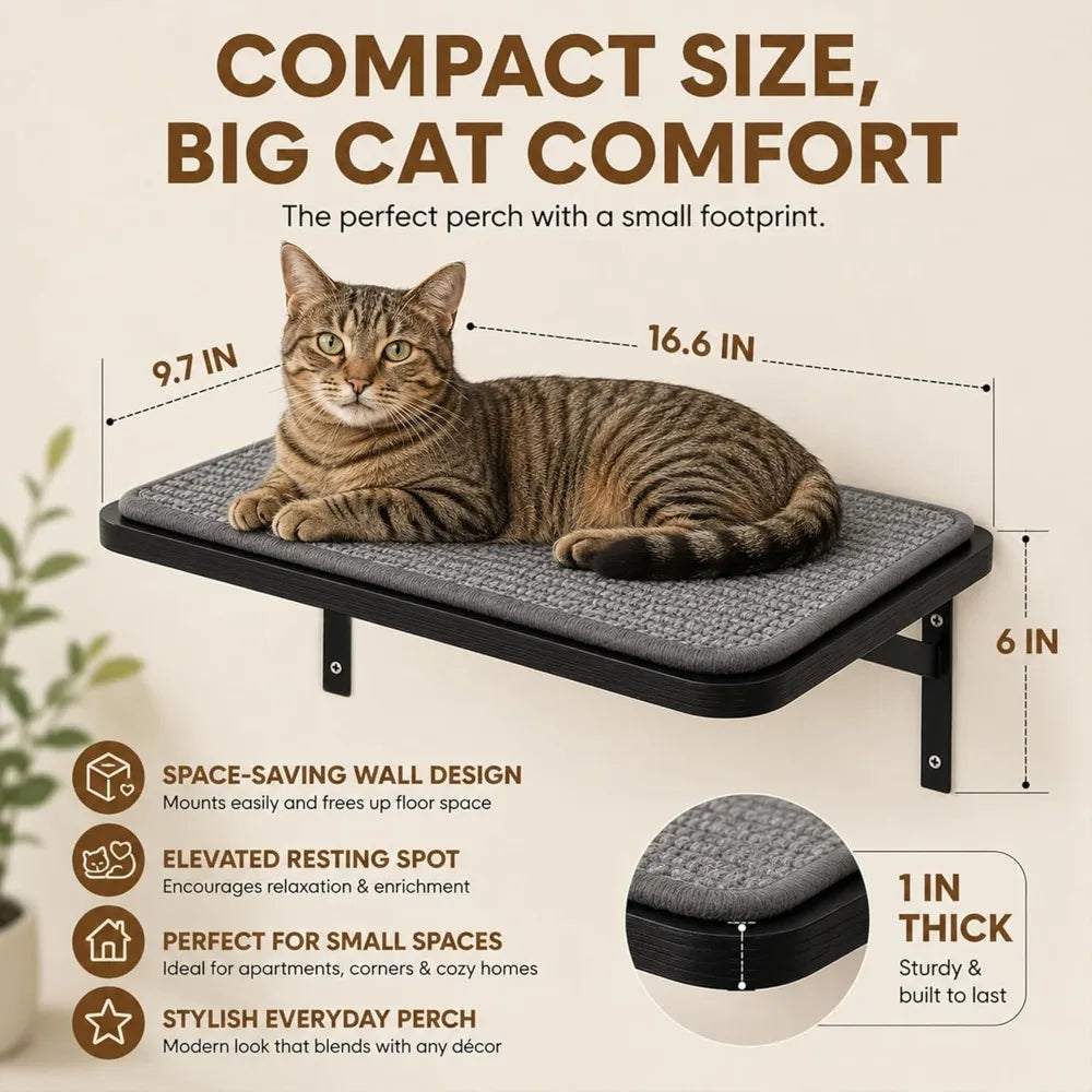 Cat Wall Shelves Set of 2, Solid Wood Window Perch with Grey Sisal Cushion, Wall-Mounted Space-Saving Climbing Bed for Kittens & Cats, Black